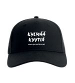 lippis-kylmaa-kyytia.jpg